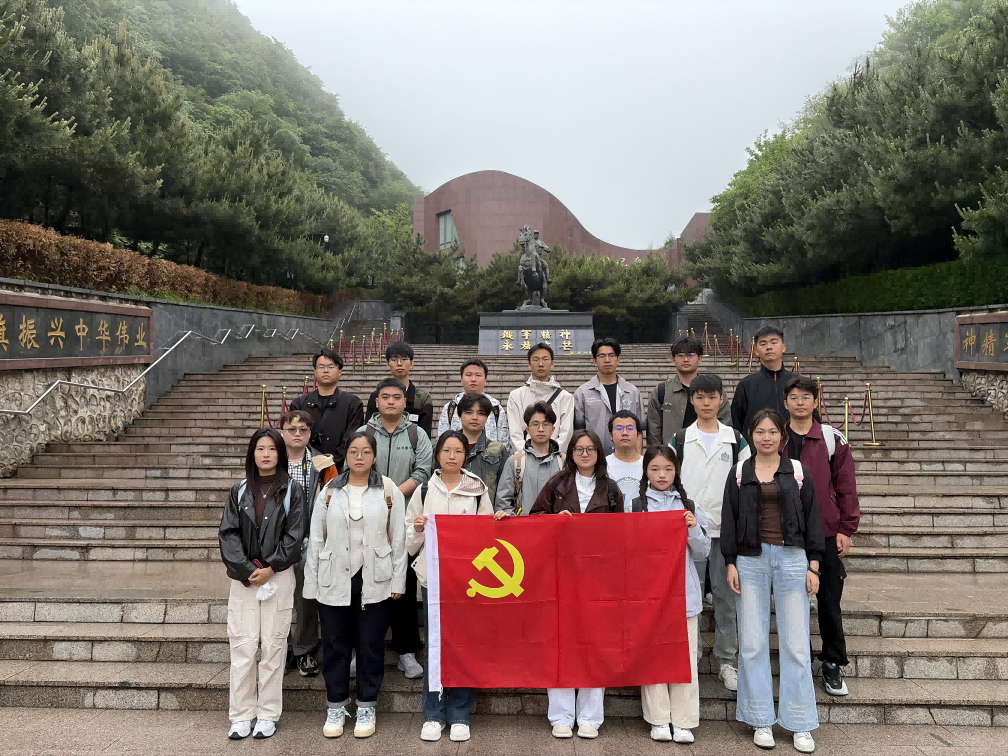 图片11